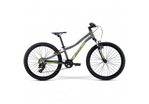 Велосипед Merida Matts J24+ ECO MattCoolGreyGreen/Yellow 2021